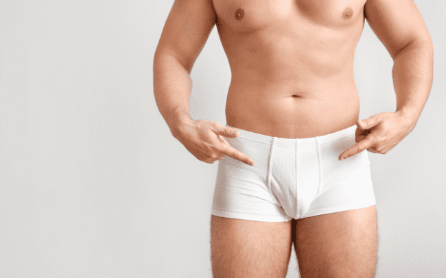 Aparato genital masculino